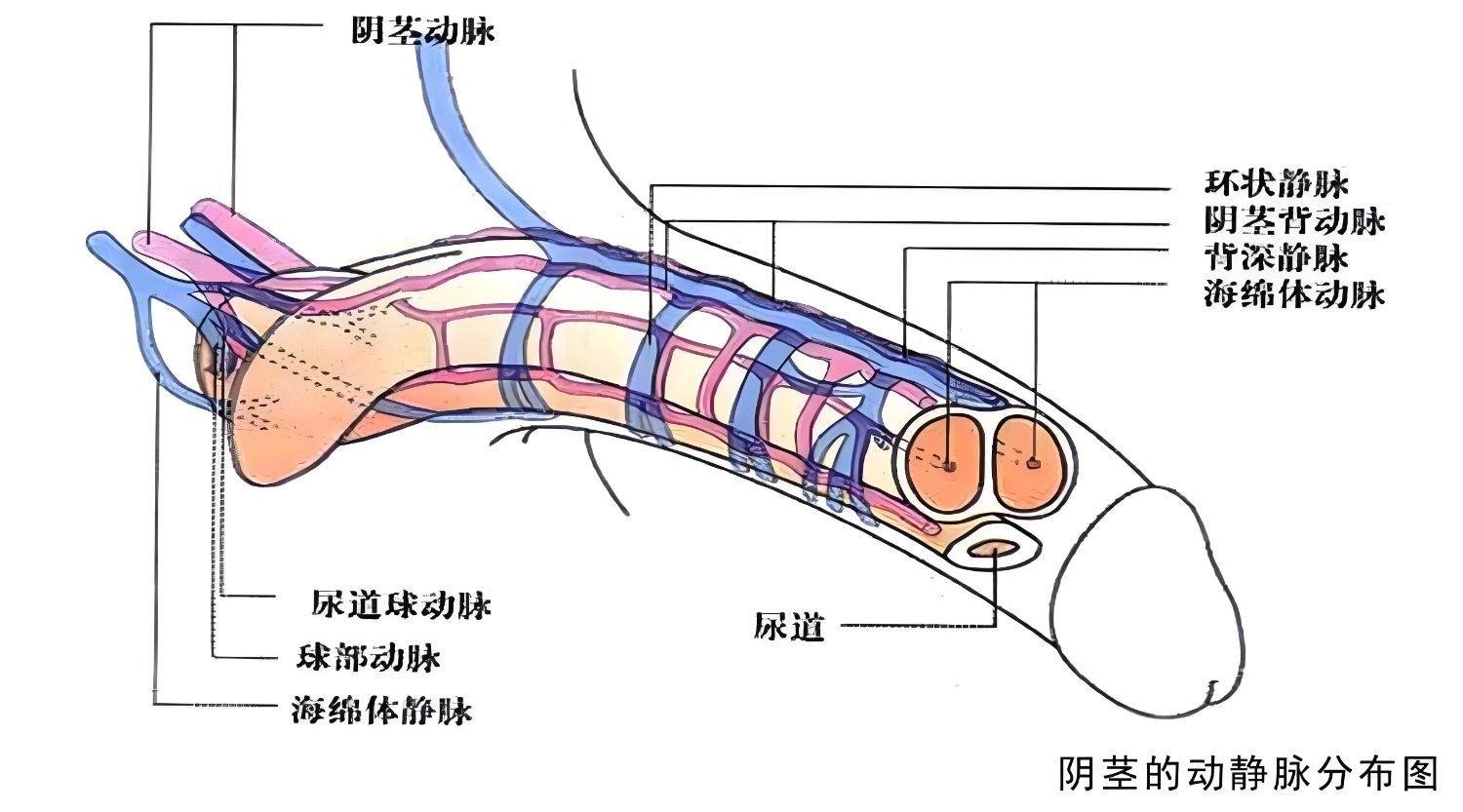 46e957e8-5675-4a1e-aab1-73c655c1ca37.jpg